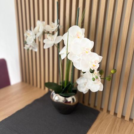Kovacevic Apartments Kotor Ngoại thất bức ảnh